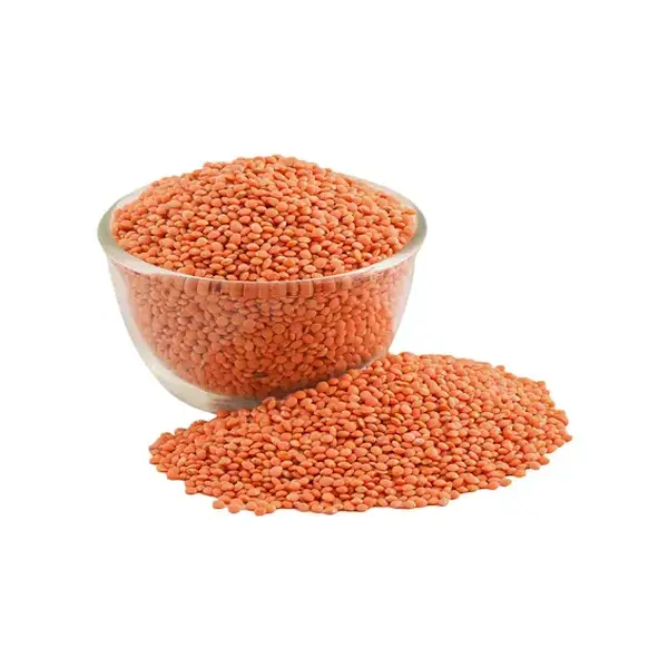 Rato daal
