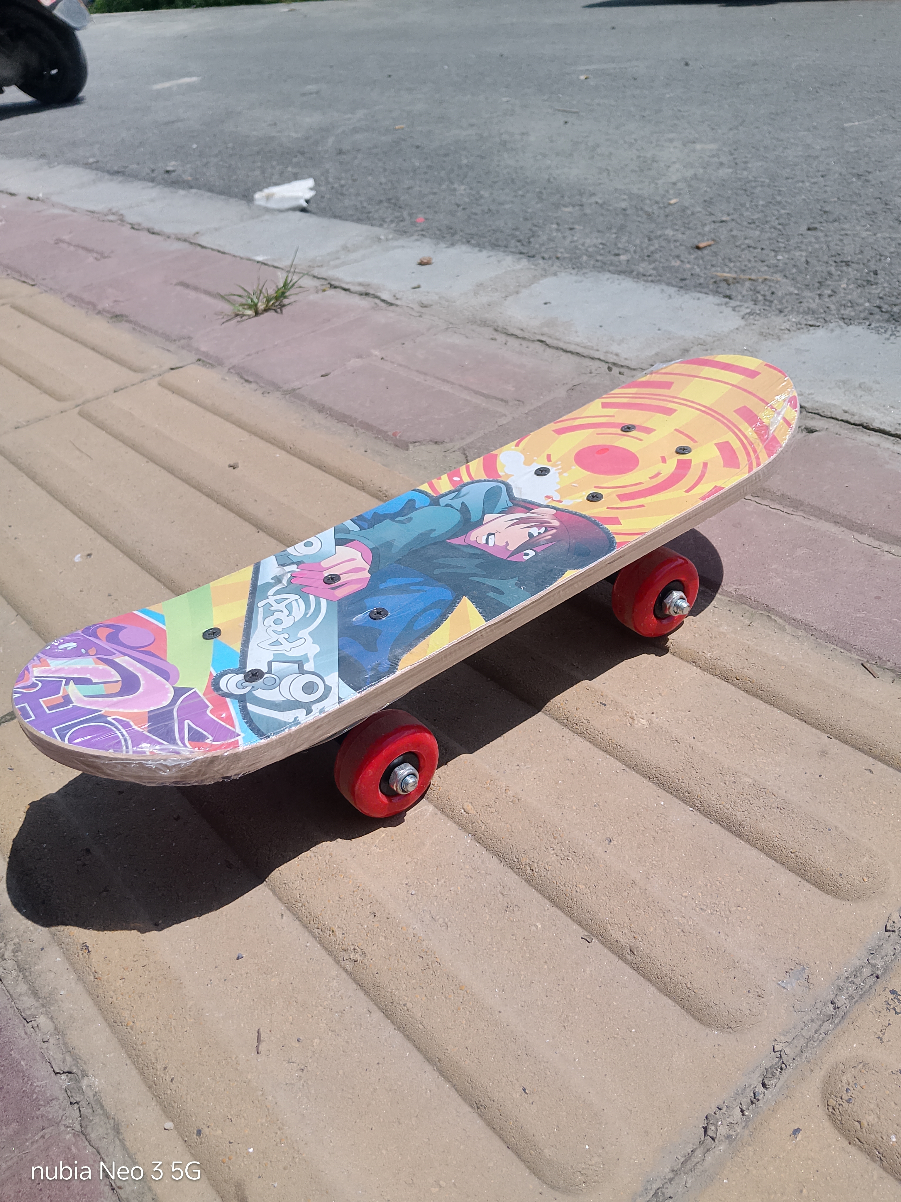 Skate Board