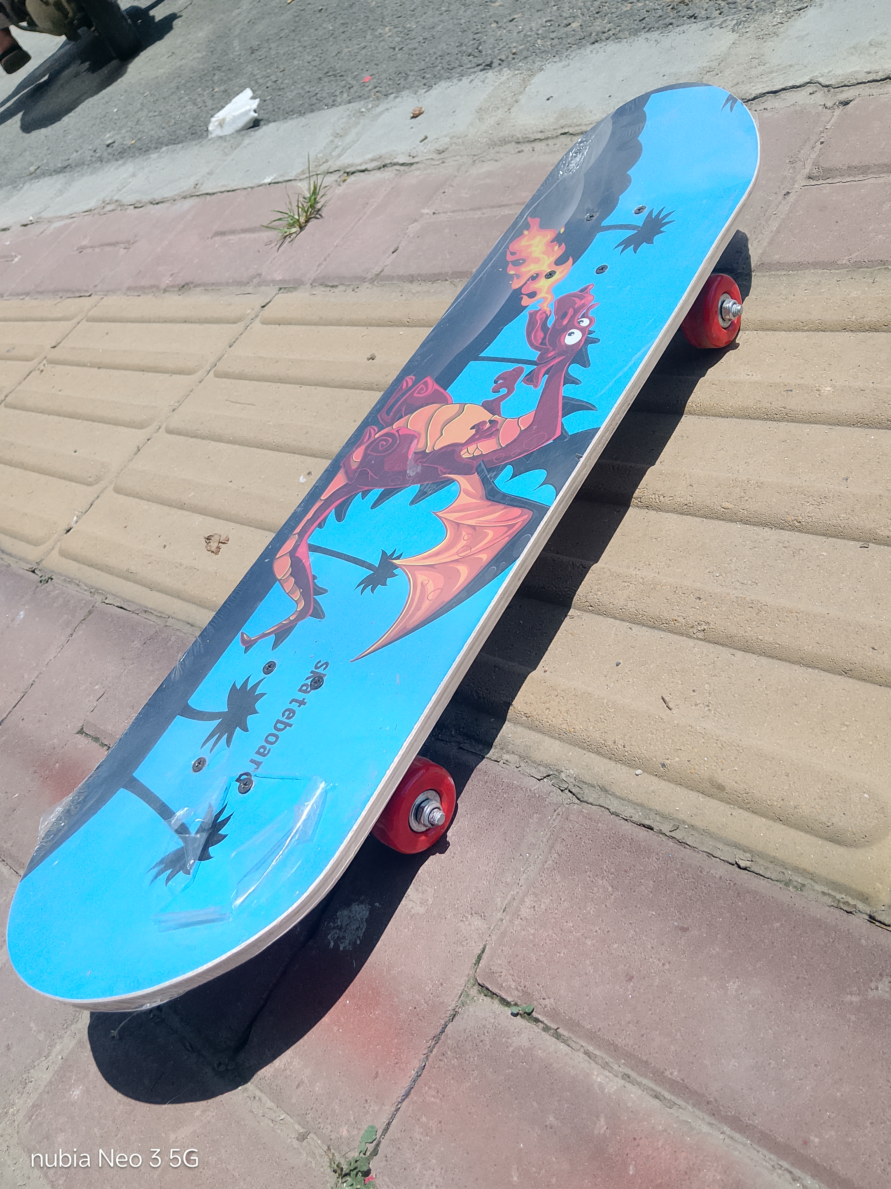 Skate board