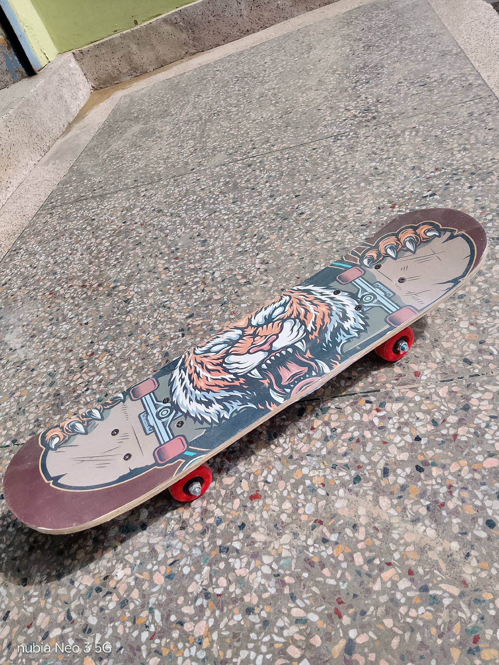 skate board